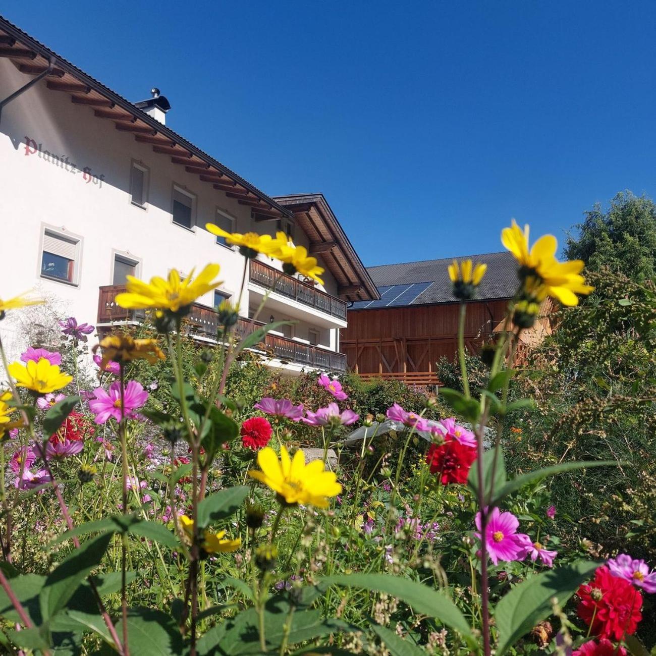 Planitzhof Βίλα Castelrotto Εξωτερικό φωτογραφία