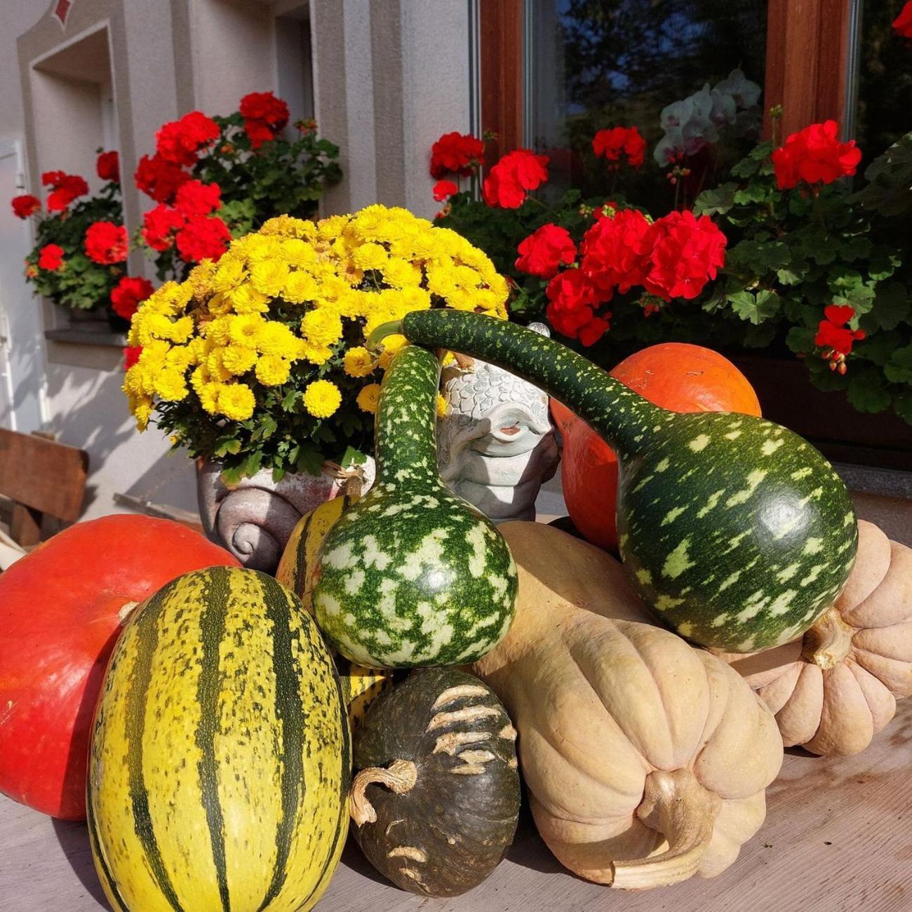 Planitzhof Βίλα Castelrotto Εξωτερικό φωτογραφία
