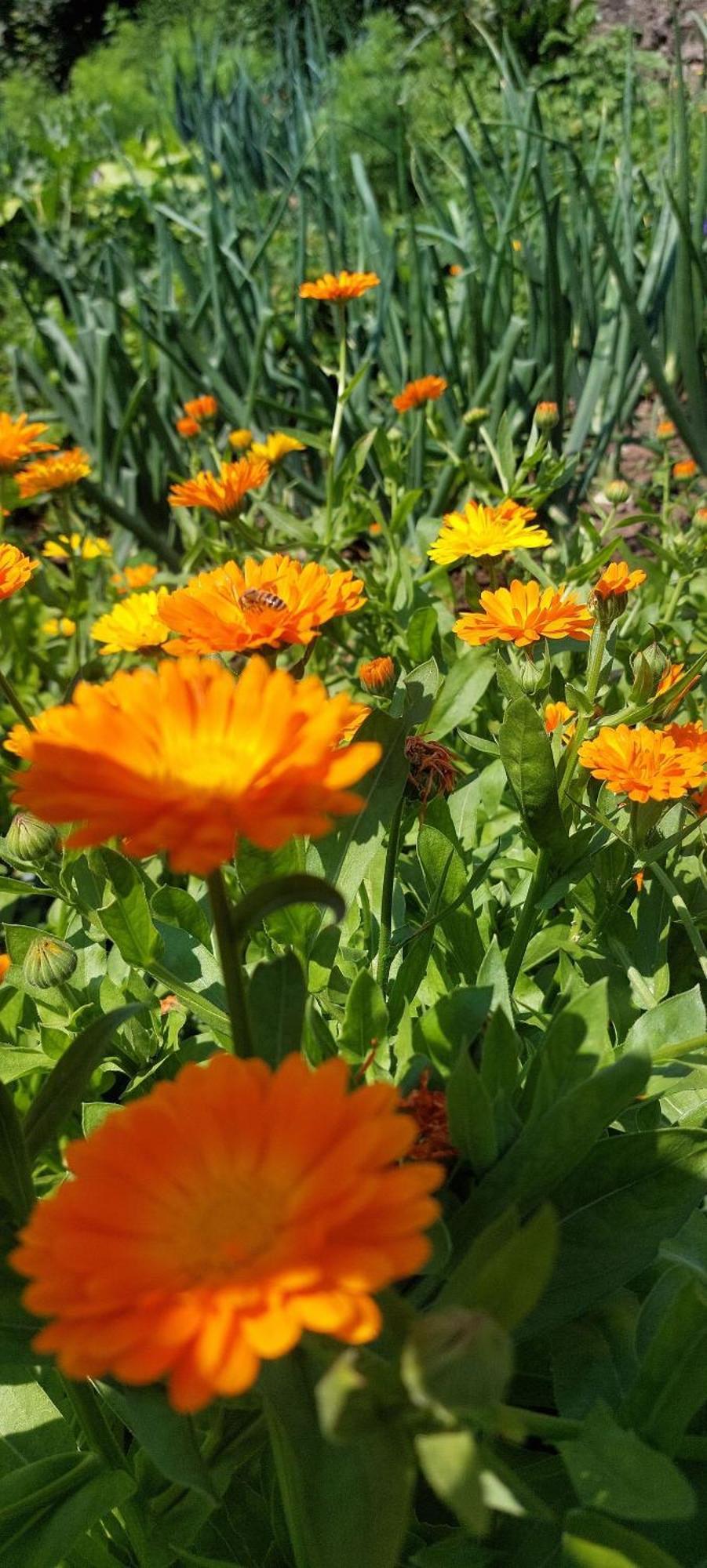 Planitzhof Βίλα Castelrotto Εξωτερικό φωτογραφία