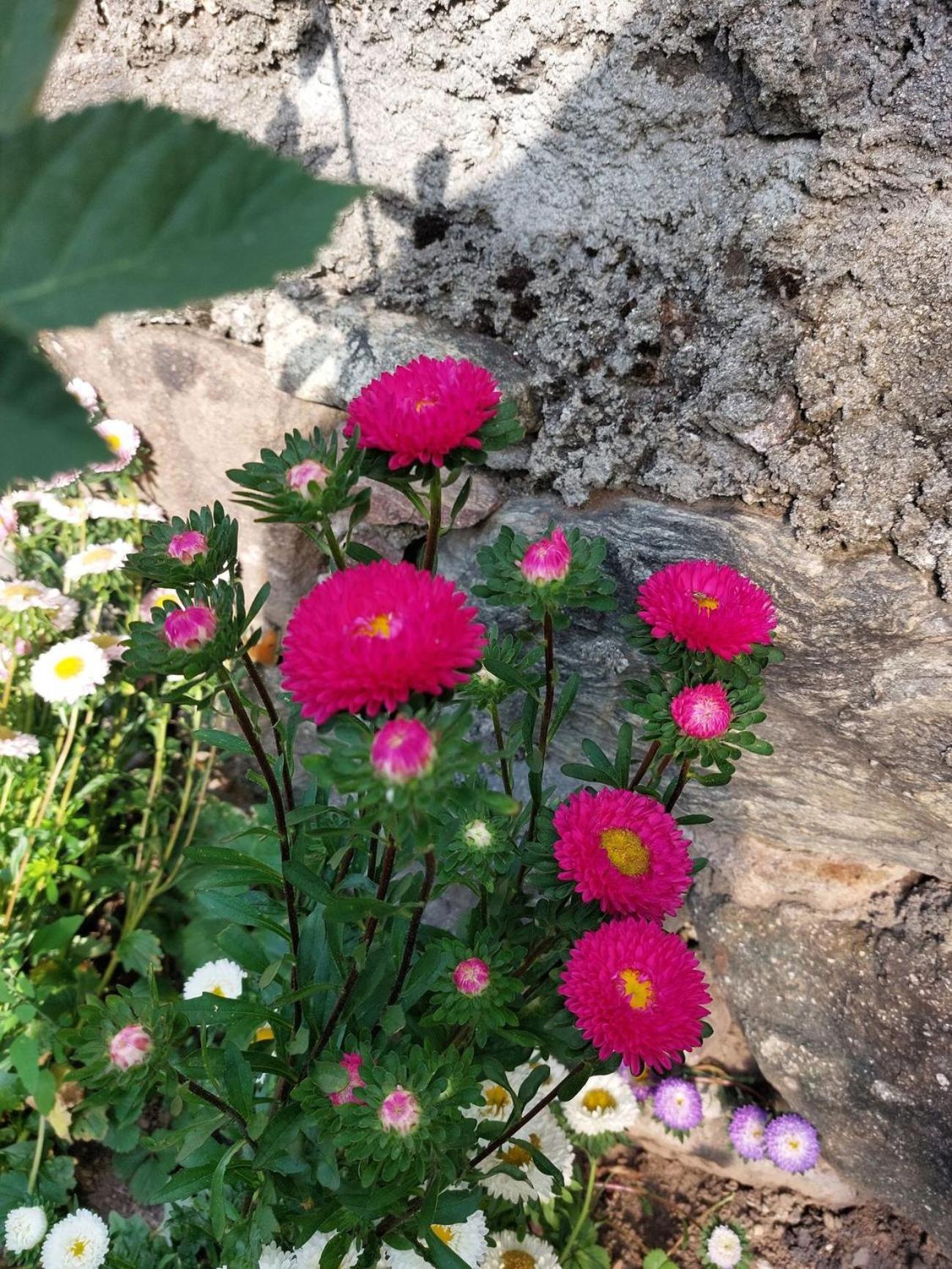 Planitzhof Βίλα Castelrotto Εξωτερικό φωτογραφία